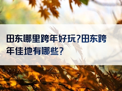 田东哪里跨年好玩？田东跨年佳地有哪些？