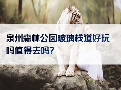 泉州森林公园玻璃栈道好玩吗值得去吗？