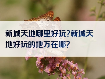 新城天地哪里好玩？新城天地好玩的地方在哪？