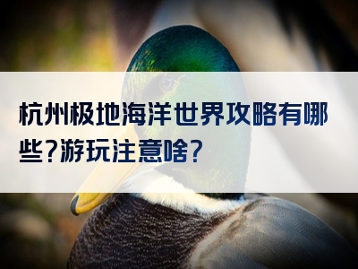 杭州极地海洋世界攻略有哪些？游玩注意啥？