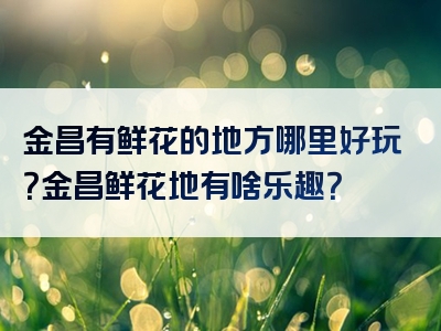 金昌有鲜花的地方哪里好玩？金昌鲜花地有啥乐趣？