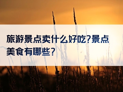 旅游景点卖什么好吃？景点美食有哪些？