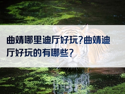 曲靖哪里迪厅好玩？曲靖迪厅好玩的有哪些？