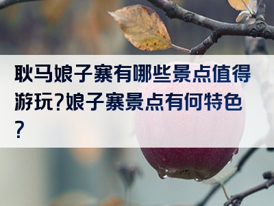 耿马娘子寨有哪些景点值得游玩？娘子寨景点有何特色？