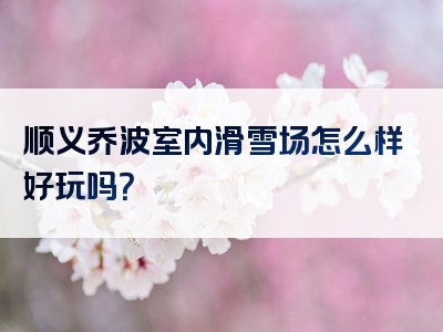 顺义乔波室内滑雪场怎么样好玩吗？