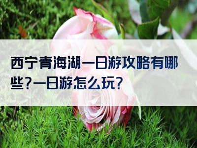 西宁青海湖一日游攻略有哪些？一日游怎么玩？
