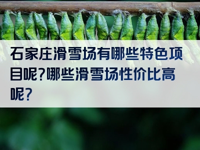 石家庄滑雪场有哪些特色项目呢？哪些滑雪场性价比高呢？
