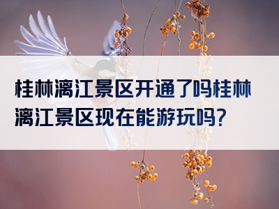 桂林漓江景区开通了吗桂林漓江景区现在能游玩吗？