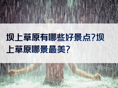 坝上草原有哪些好景点？坝上草原哪景最美？