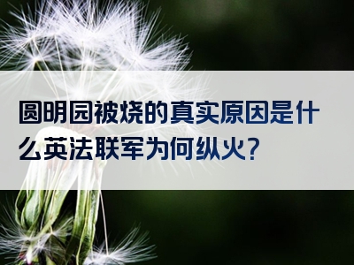 圆明园被烧的真实原因是什么英法联军为何纵火？