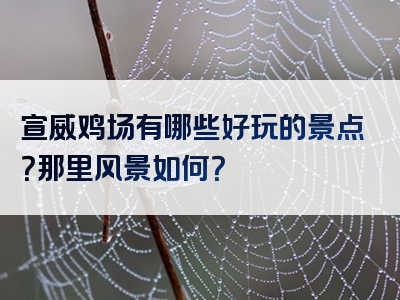 宣威鸡场有哪些好玩的景点？那里风景如何？