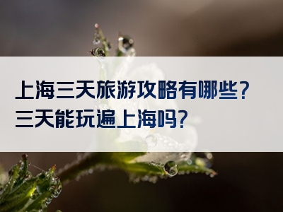 上海三天旅游攻略有哪些？三天能玩遍上海吗？
