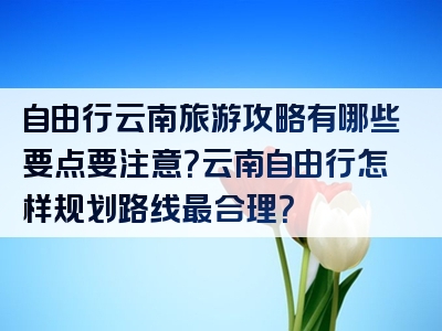 自由行云南旅游攻略有哪些要点要注意？云南自由行怎样规划路线最合理？