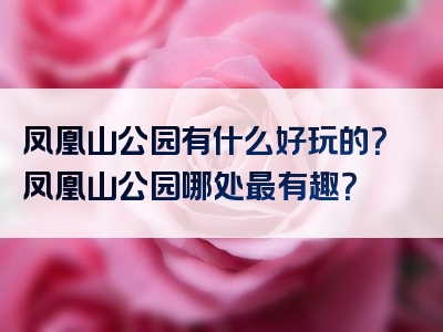 凤凰山公园有什么好玩的？凤凰山公园哪处最有趣？