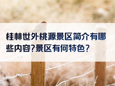 桂林世外桃源景区简介有哪些内容？景区有何特色？