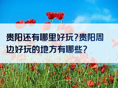 贵阳还有哪里好玩？贵阳周边好玩的地方有哪些？