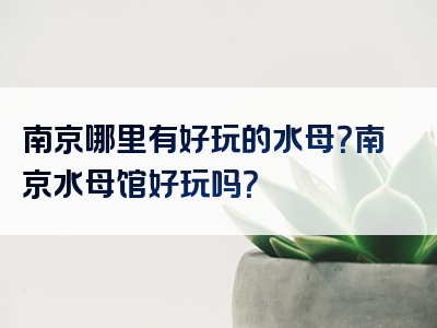 南京哪里有好玩的水母？南京水母馆好玩吗？