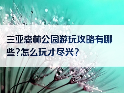 三亚森林公园游玩攻略有哪些？怎么玩才尽兴？