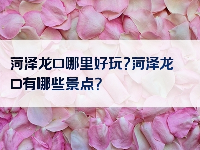 菏泽龙口哪里好玩？菏泽龙口有哪些景点？
