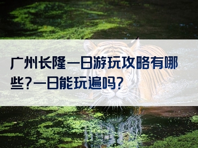 广州长隆一日游玩攻略有哪些？一日能玩遍吗？