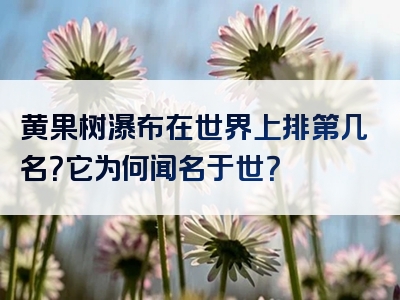 黄果树瀑布在世界上排第几名？它为何闻名于世？