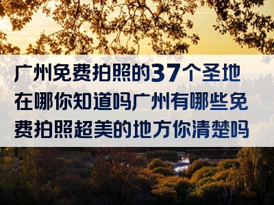 广州免费拍照的37个圣地在哪你知道吗广州有哪些免费拍照超美的地方你清楚吗