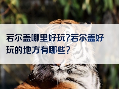 若尔盖哪里好玩？若尔盖好玩的地方有哪些？