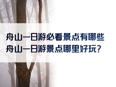 舟山一日游必看景点有哪些舟山一日游景点哪里好玩？