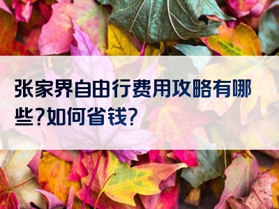 张家界自由行费用攻略有哪些？如何省钱？