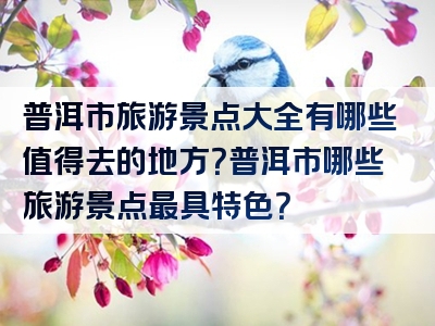 普洱市旅游景点大全有哪些值得去的地方？普洱市哪些旅游景点最具特色？
