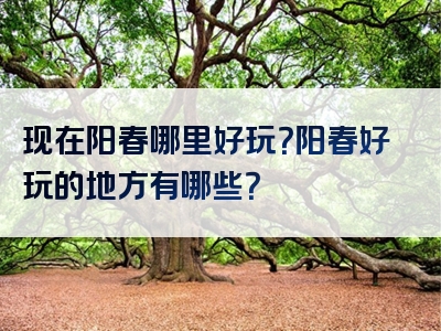 现在阳春哪里好玩？阳春好玩的地方有哪些？