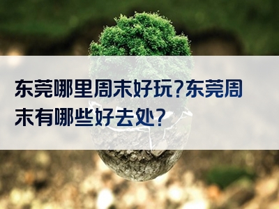 东莞哪里周末好玩？东莞周末有哪些好去处？