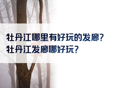 牡丹江哪里有好玩的发廊？牡丹江发廊哪好玩？