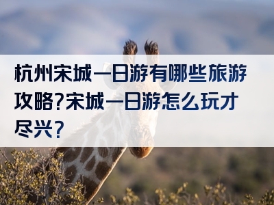 杭州宋城一日游有哪些旅游攻略？宋城一日游怎么玩才尽兴？