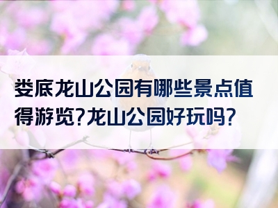 娄底龙山公园有哪些景点值得游览？龙山公园好玩吗？