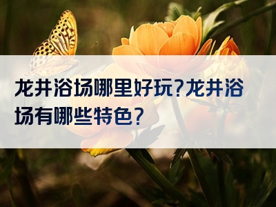龙井浴场哪里好玩？龙井浴场有哪些特色？