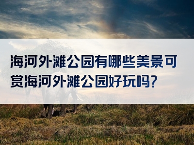 海河外滩公园有哪些美景可赏海河外滩公园好玩吗？