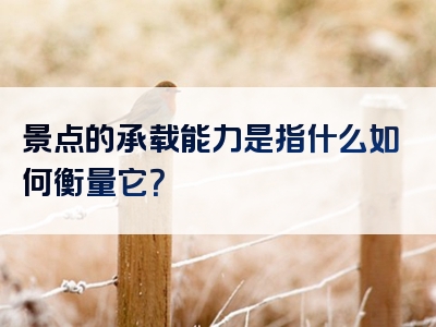 景点的承载能力是指什么如何衡量它？