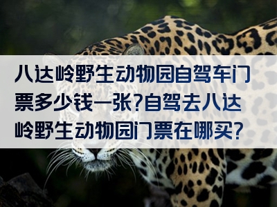 八达岭野生动物园自驾车门票多少钱一张？自驾去八达岭野生动物园门票在哪买？