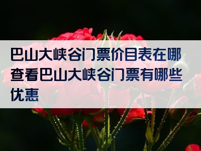 巴山大峡谷门票价目表在哪查看巴山大峡谷门票有哪些优惠