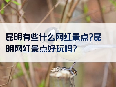 昆明有些什么网红景点？昆明网红景点好玩吗？
