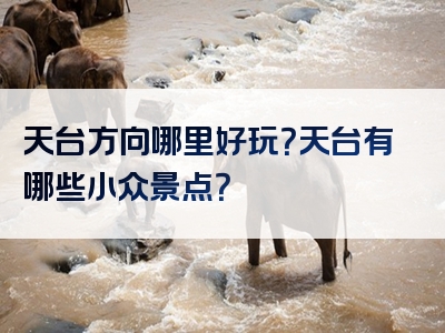 天台方向哪里好玩？天台有哪些小众景点？