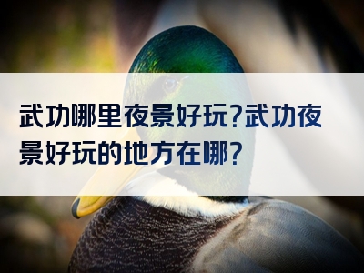 武功哪里夜景好玩？武功夜景好玩的地方在哪？