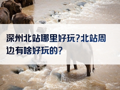 深州北站哪里好玩？北站周边有啥好玩的？