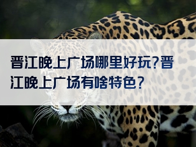 晋江晚上广场哪里好玩？晋江晚上广场有啥特色？