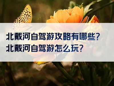 北戴河自驾游攻略有哪些？北戴河自驾游怎么玩？