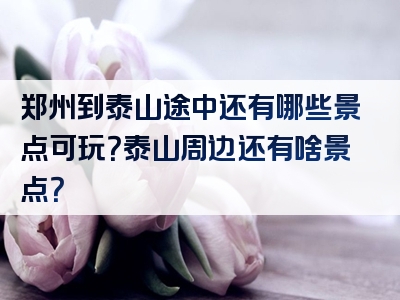 郑州到泰山途中还有哪些景点可玩？泰山周边还有啥景点？