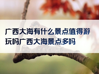 广西大海有什么景点值得游玩吗广西大海景点多吗