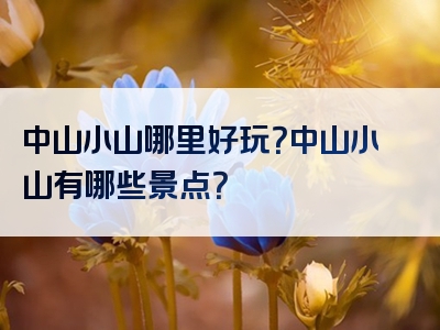 中山小山哪里好玩？中山小山有哪些景点？