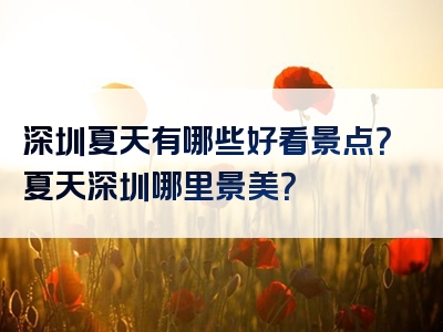 深圳夏天有哪些好看景点？夏天深圳哪里景美？